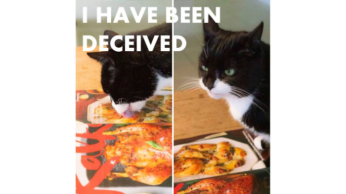 We Cannot Trust Paper Anymore