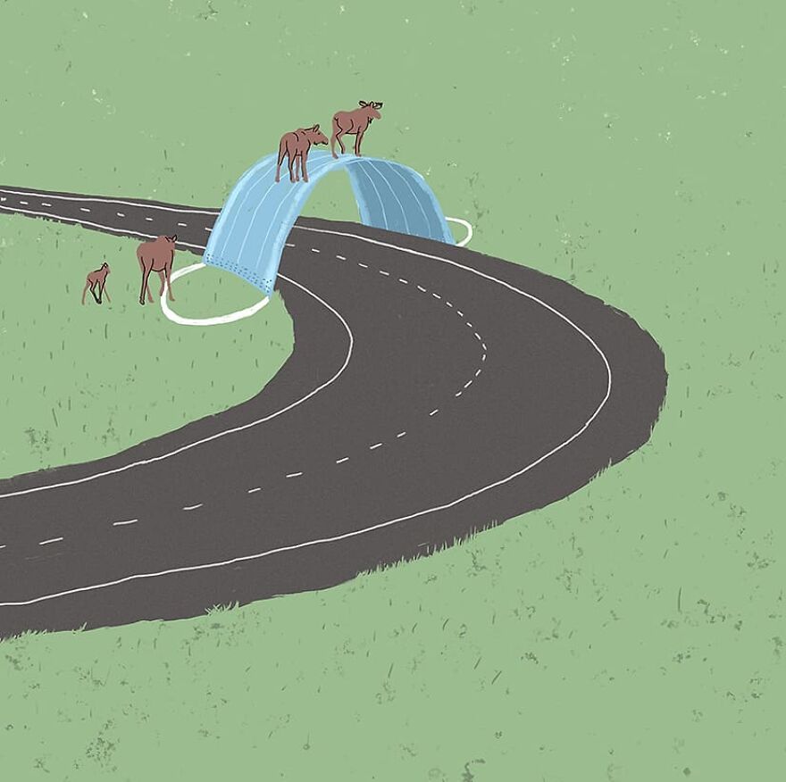 Decrease In Wildlife Deaths