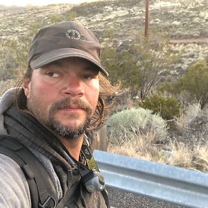 michaelhayward avatar