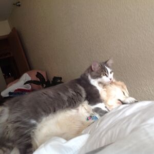 kathyphillips avatar