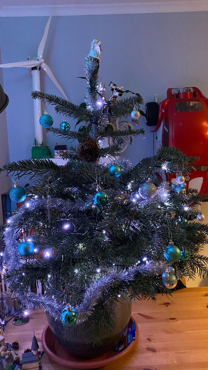 Small Potted Tree Here