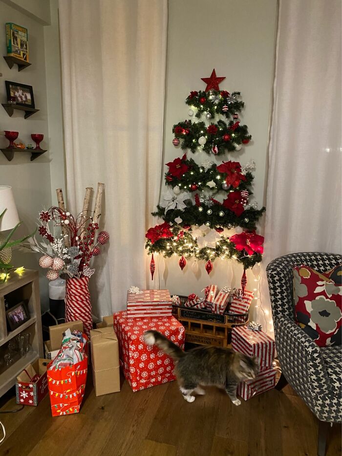 Condo Plus Cats Equals A Tree On The Wall