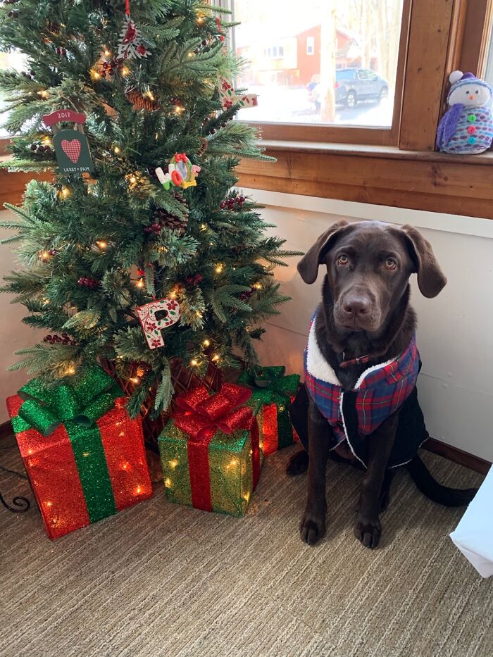 Waiting For My First Christmas!