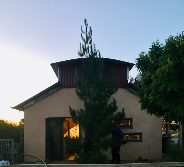 Floor To Ceiling, But Needed A Trim! This Was 2019 In Ki, Australia; Plantations Burned In 2020