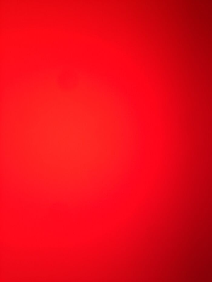 Hey Pandas! What’s Your Favorite Weird Food Combo?