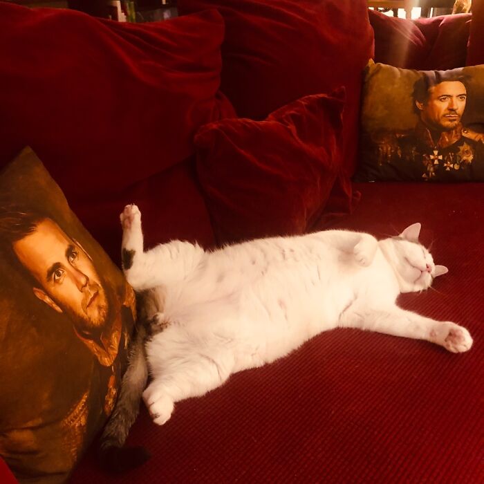 Well....life Is Sooo Good! Will Never Move Again....