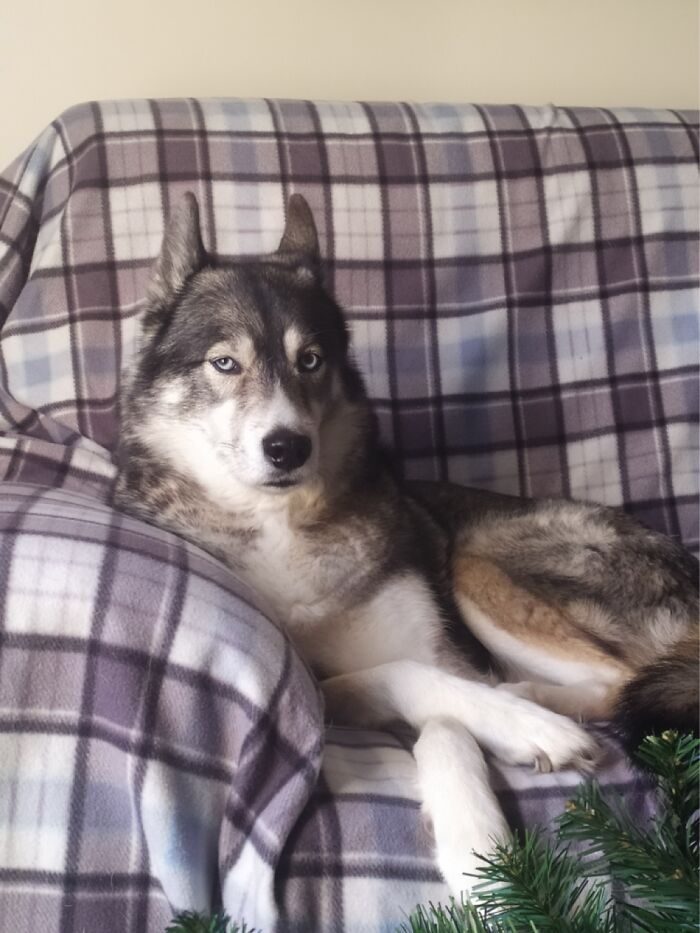 He’s Doing His ‘Judgmental Old Woman’ Look