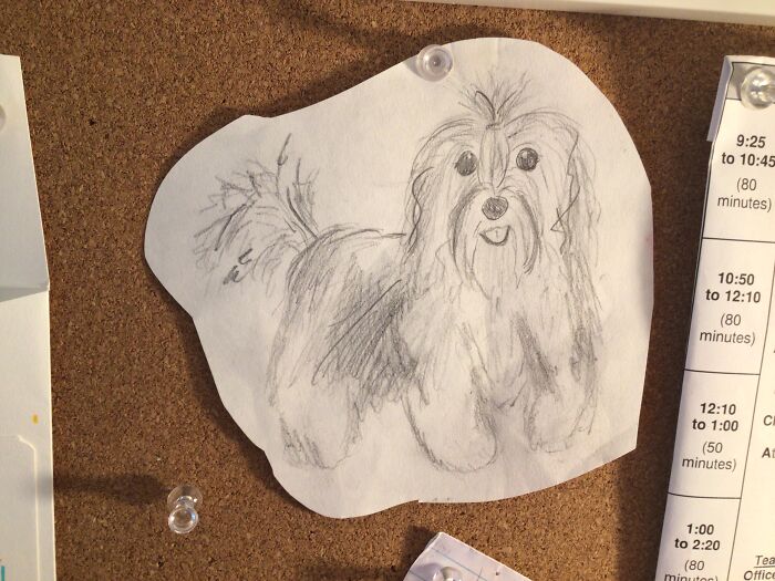 Havana Silk Doggy :d