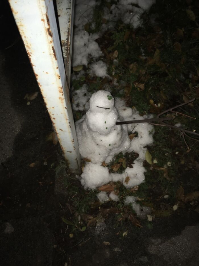 An Already Melting Frosty Mate In Nightly Vienna