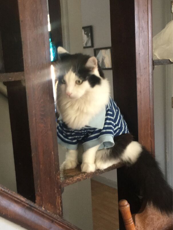 Random Lee As “Biff”