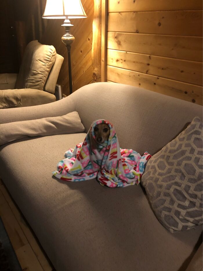 Ready For Bed