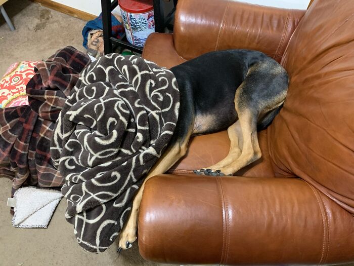 Bootsy Collins In His Favorite Chair With His Favorite Blanket.