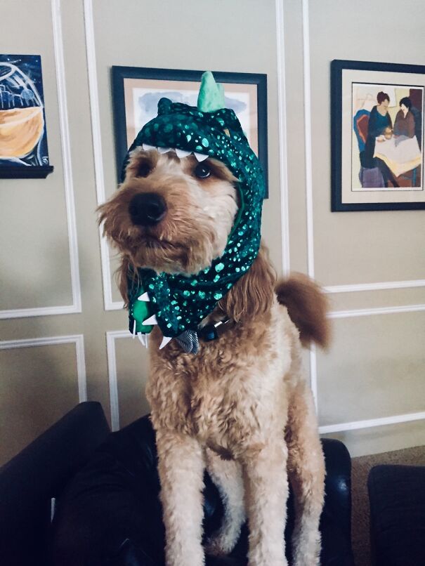 Scariest Dinosaur To Exist, Buddy