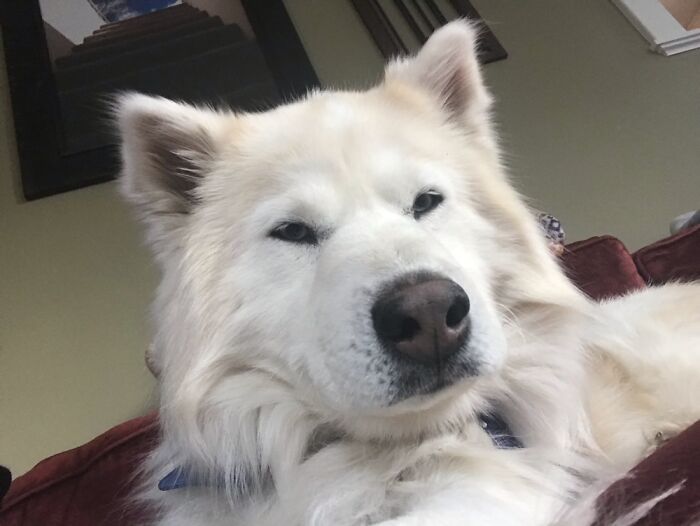 He Was Mad At Me When I Took This Photo