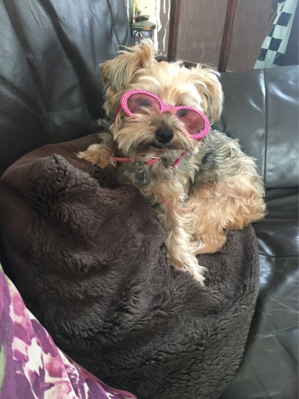 I Will Get You For This....