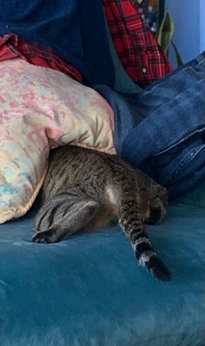 If I Can’t See You, You Can’t See Me