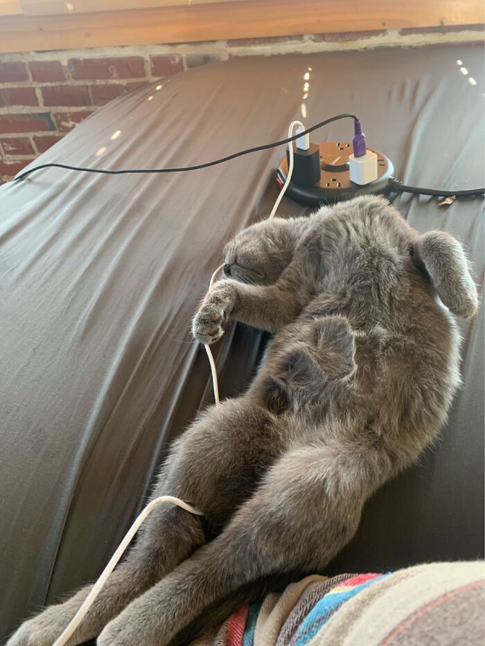 This Is A. Cuple Days After We Brought Him Home