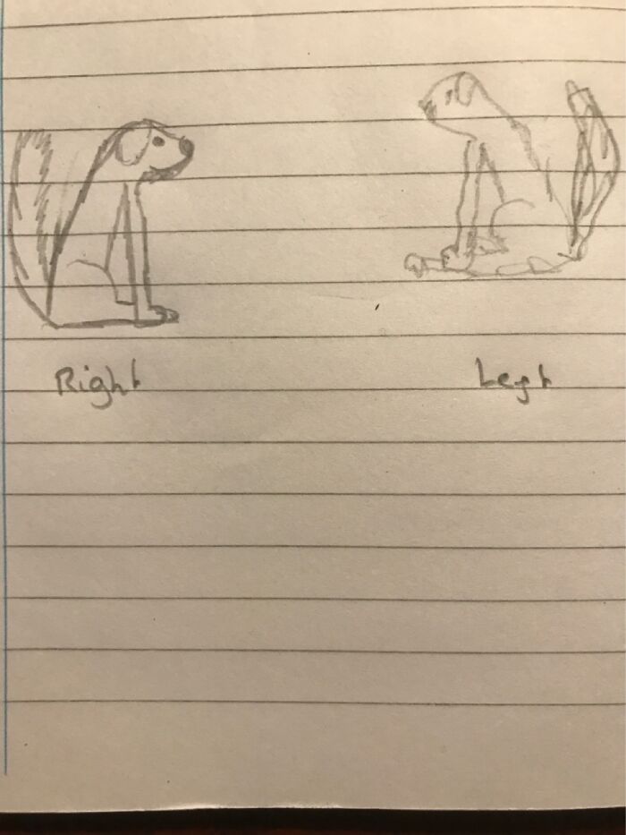 Some Sort Of Demon Dog...