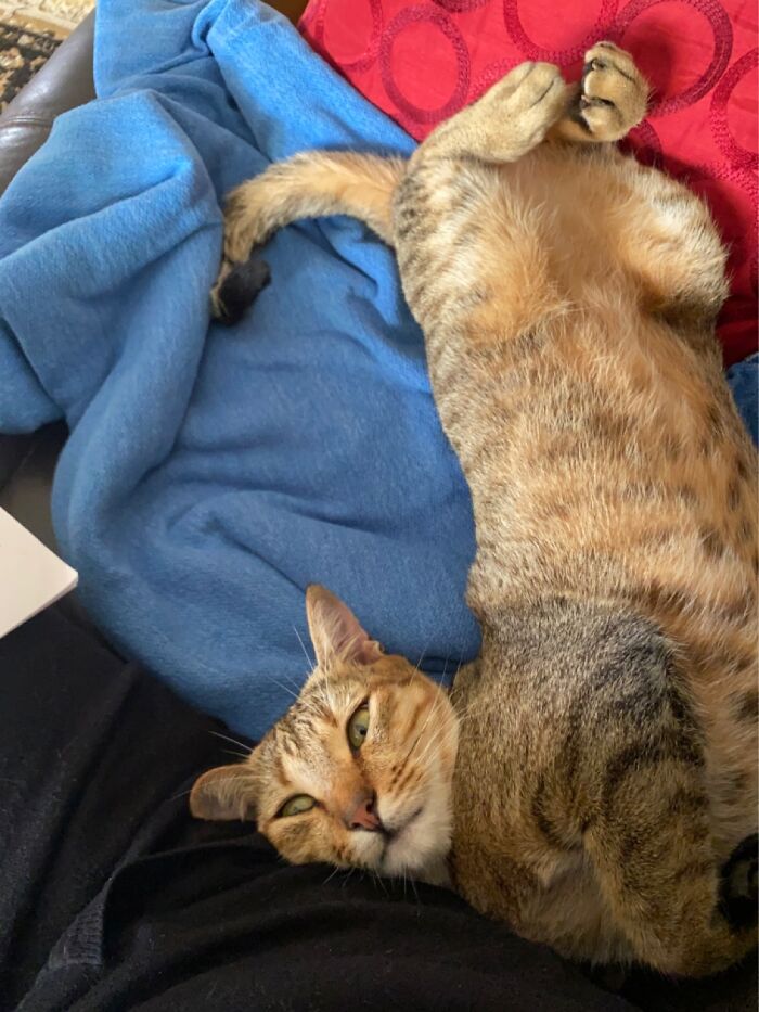 She Just Like To Sleep Weird