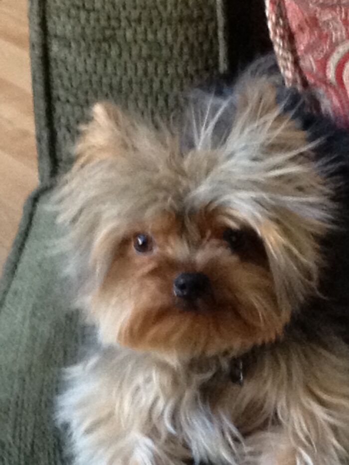 What You Mean Static Electricity?