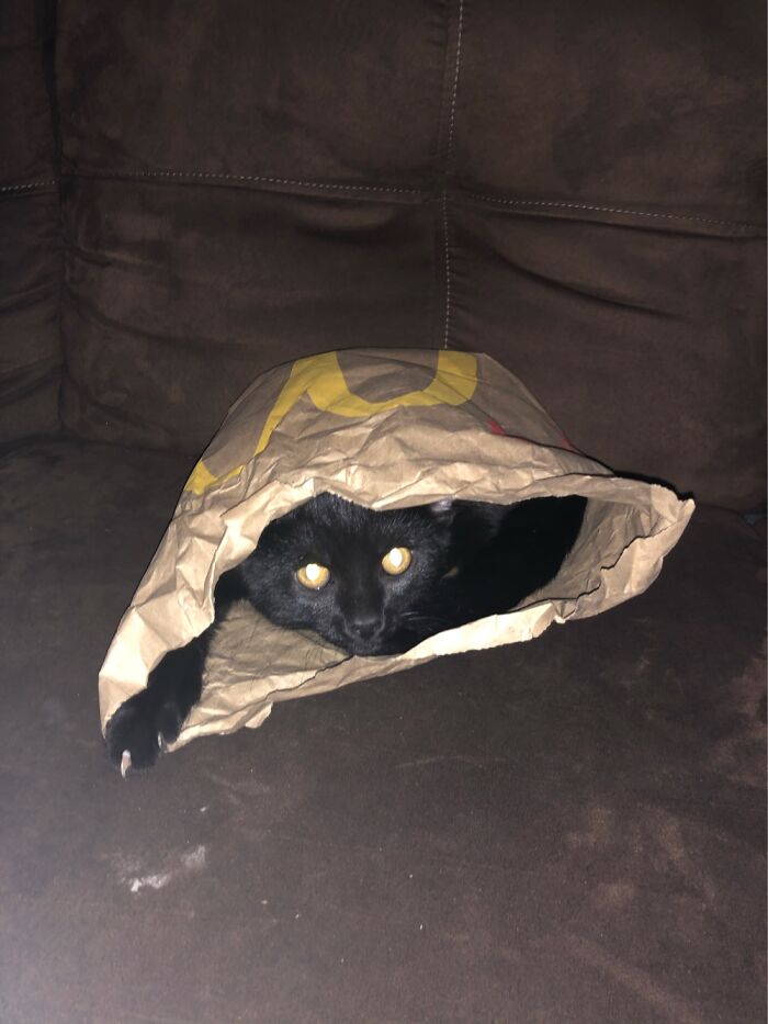 French Fries Were Spicy