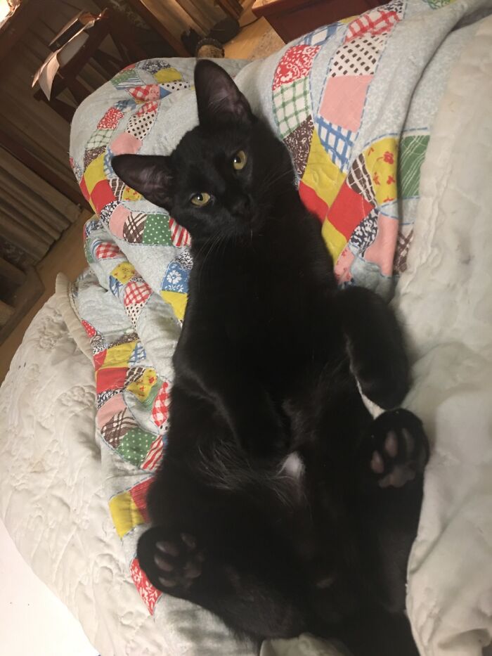 My Sammie Being Dignified Lol