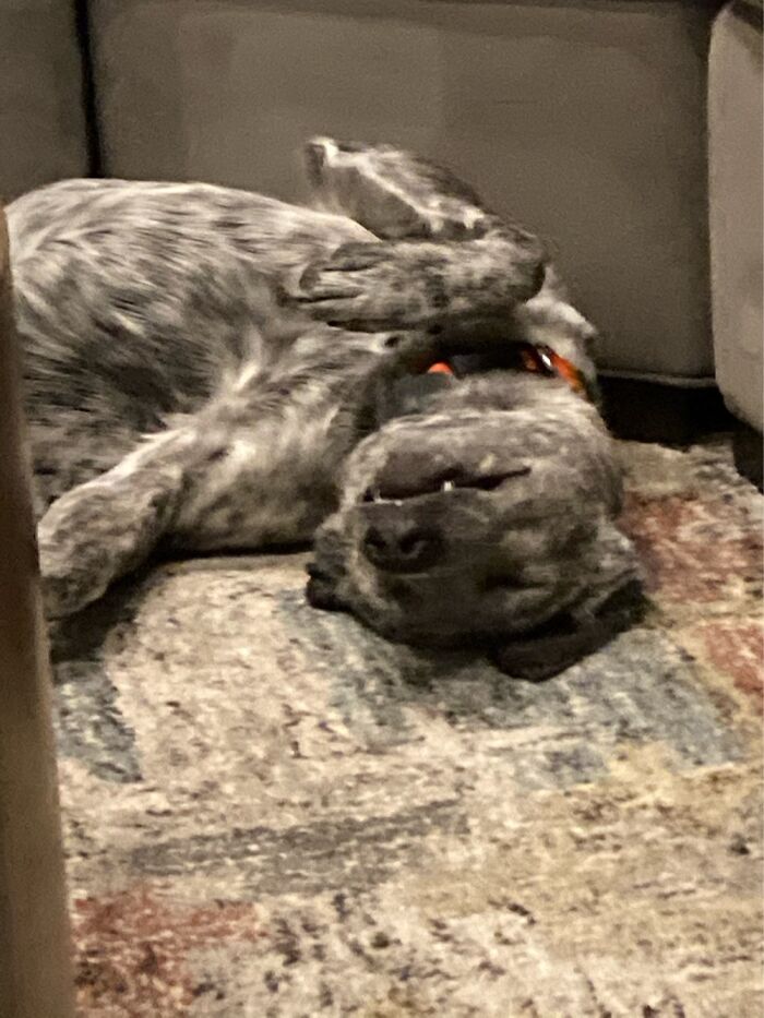 I Have No Context For This