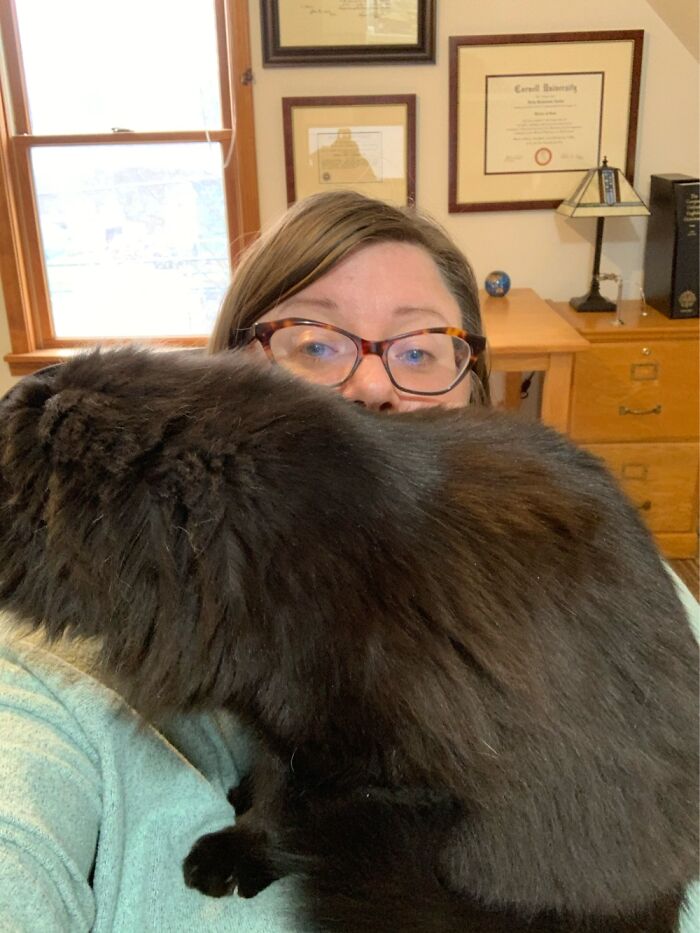 Me, Trying To Work At The Computer, With My Cat Wednesday Using My Boobs As A Shelf.