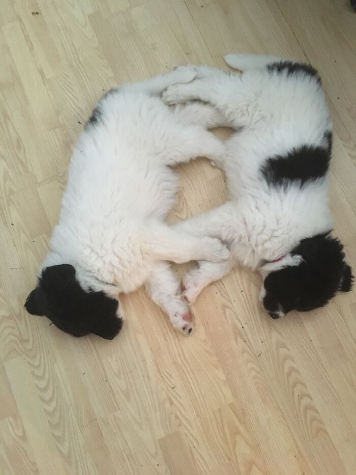 Brother And Sister Having A Nap