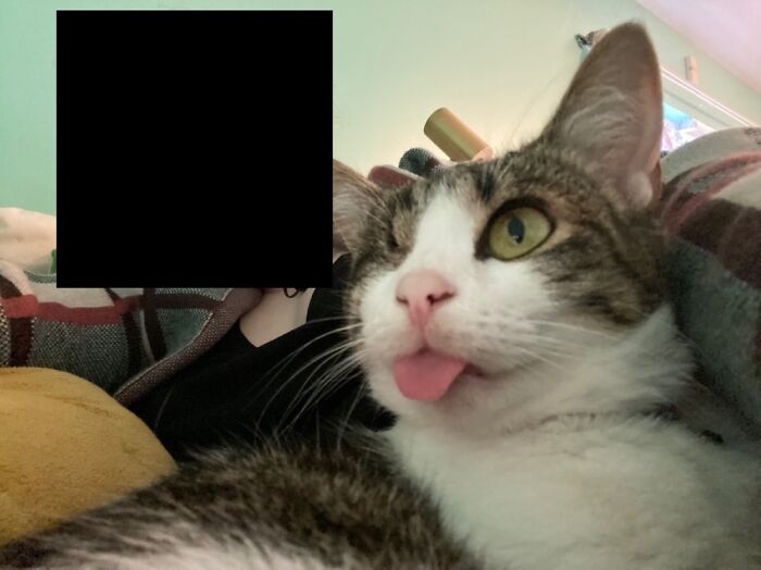 Blep