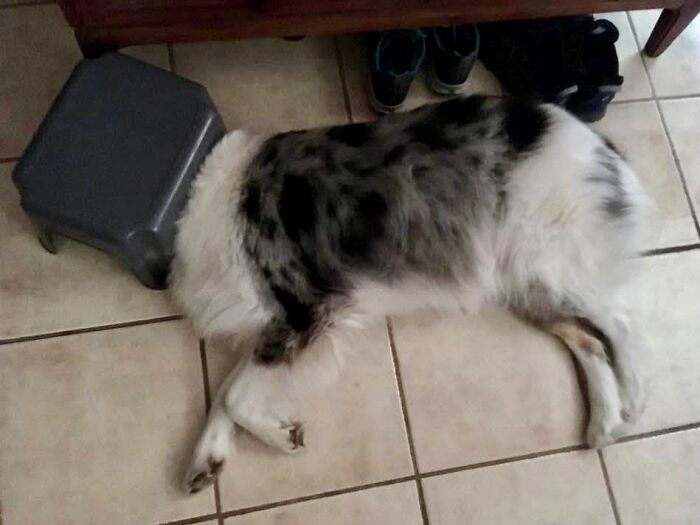 This Is How He Sleeps