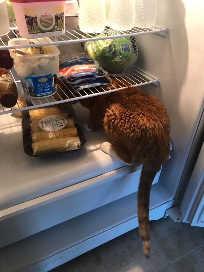 This Wasn’t Even The First Time!