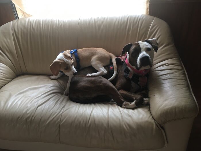 She’s Not The Momma