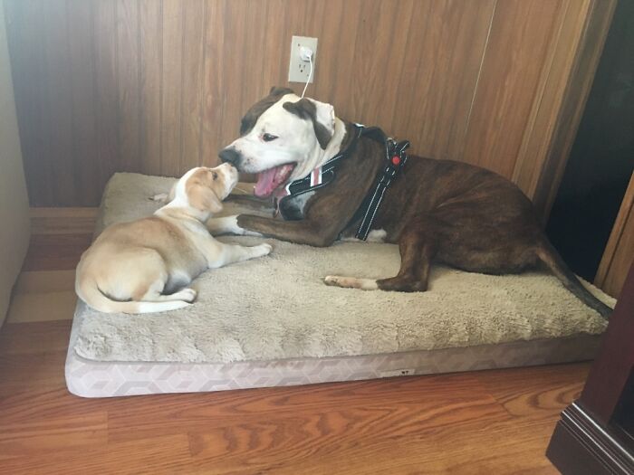 Besties At First Sight