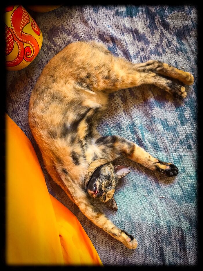 Not Sure She’s Comfortable Sleeping Like This With Her Wee Tongue Sticking Out...little Audrey