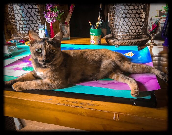 Always Lays Down All Over Whatever I’m Working On...little Audrey