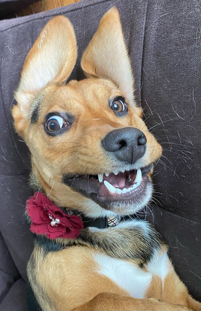 She’s Just Crazy..