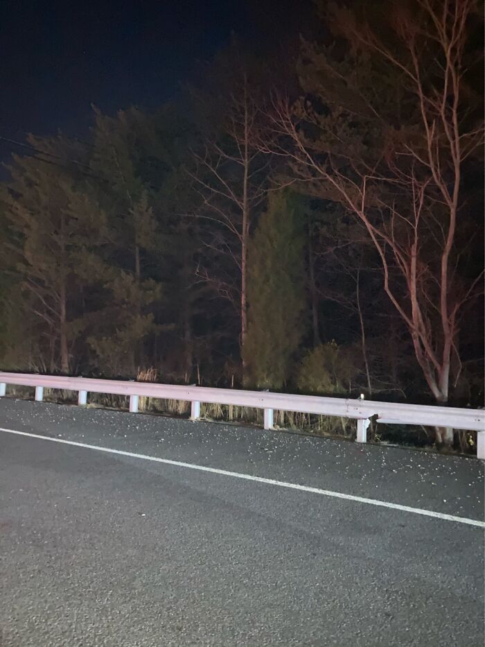 Idk Why I Took This, I Just Like How The World Looks At Night.