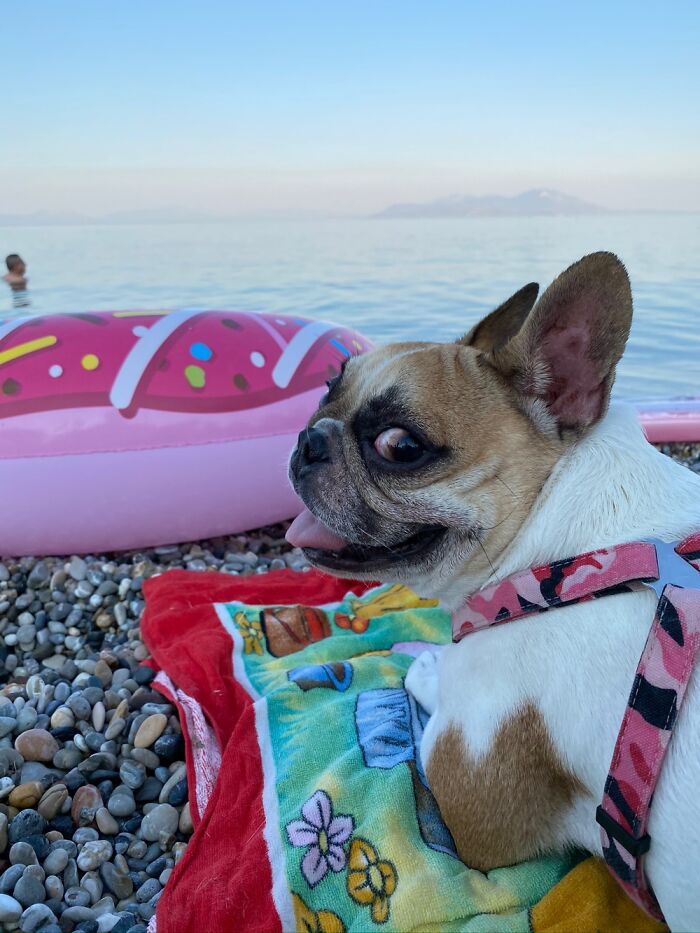 This One Reminds Me Of The Picture With The Girl And The House On Fire.both Have The Same Look