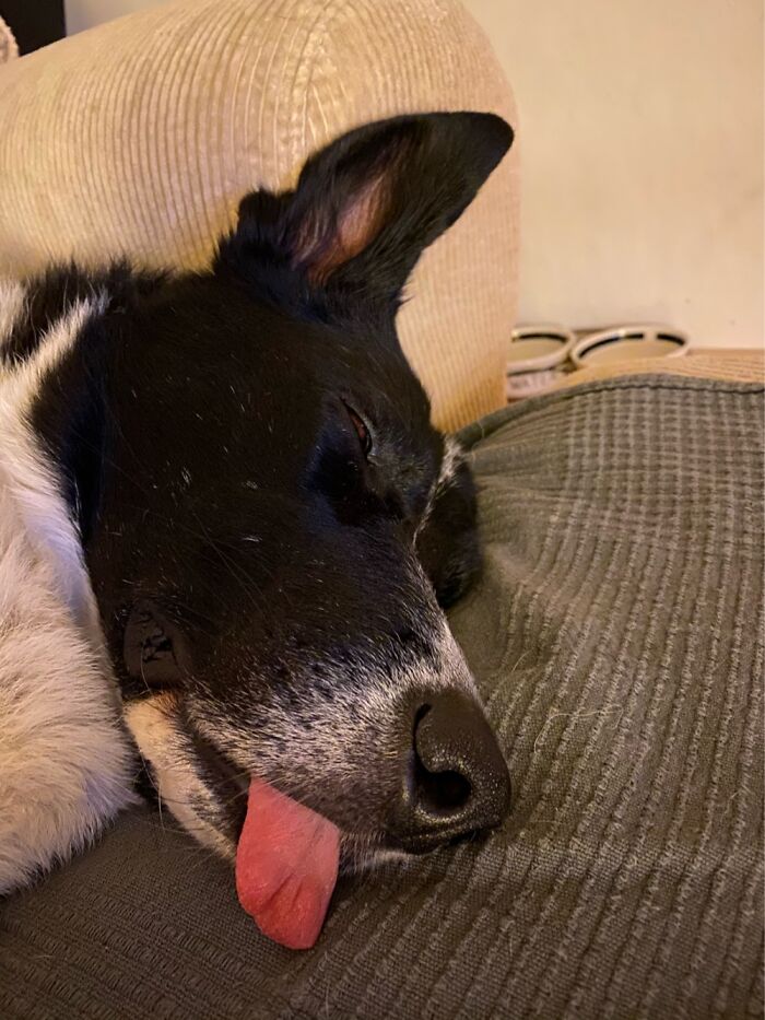 That‘S How She Sleeps Snd Snores