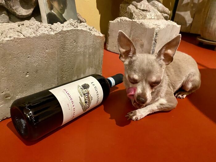 Yeah...hick...i Like!