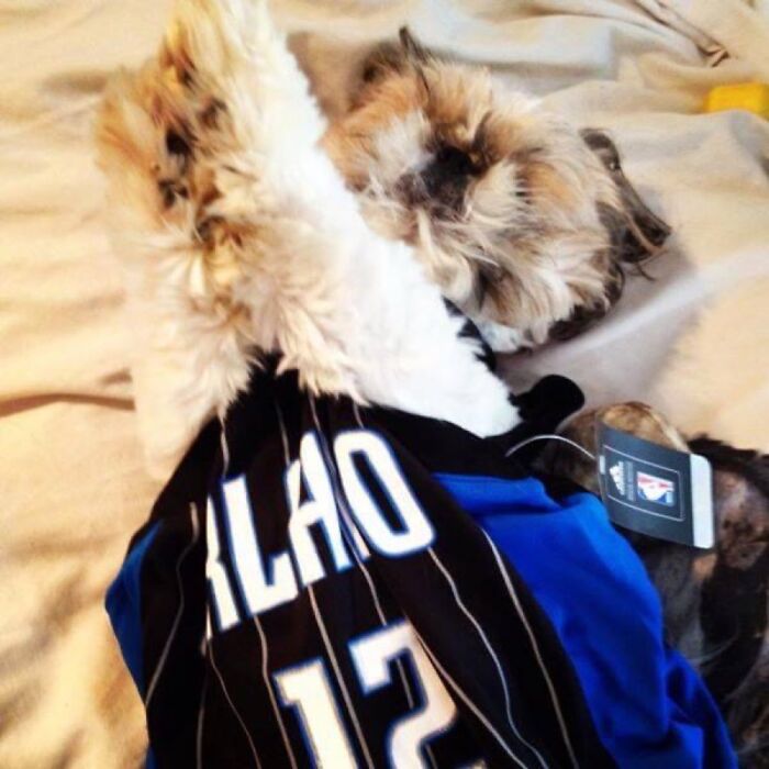 My Good Boy Teddy, Shooting Hoops In His Sleep :)