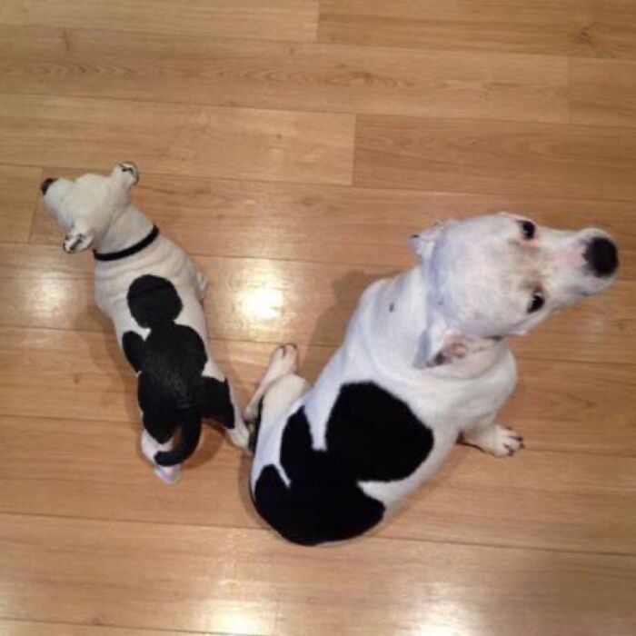 When You’re Such A Good Dog You Get Your Own Statue