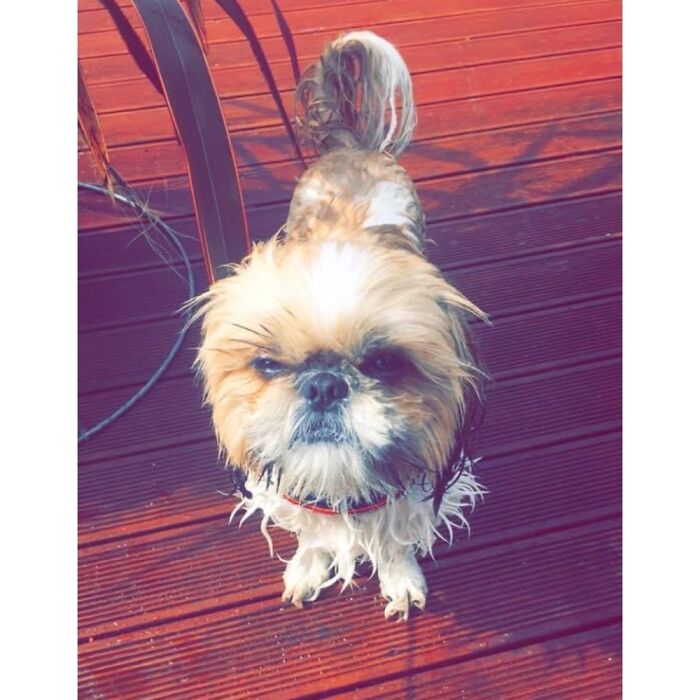 “Baths Would Be Fun They Said...”