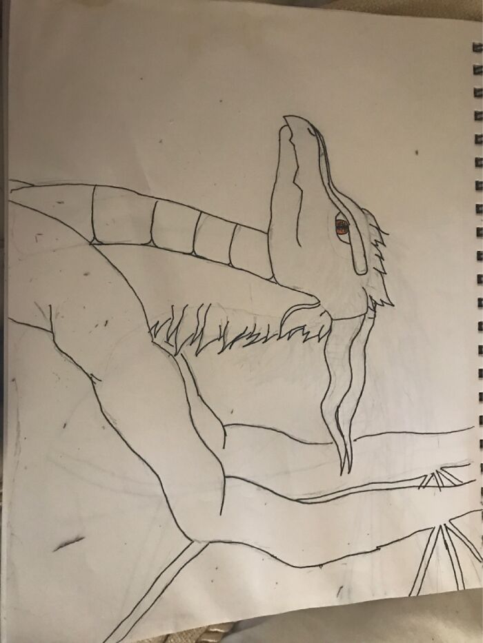 I Went Through A Dragon Phase About A Year Ago