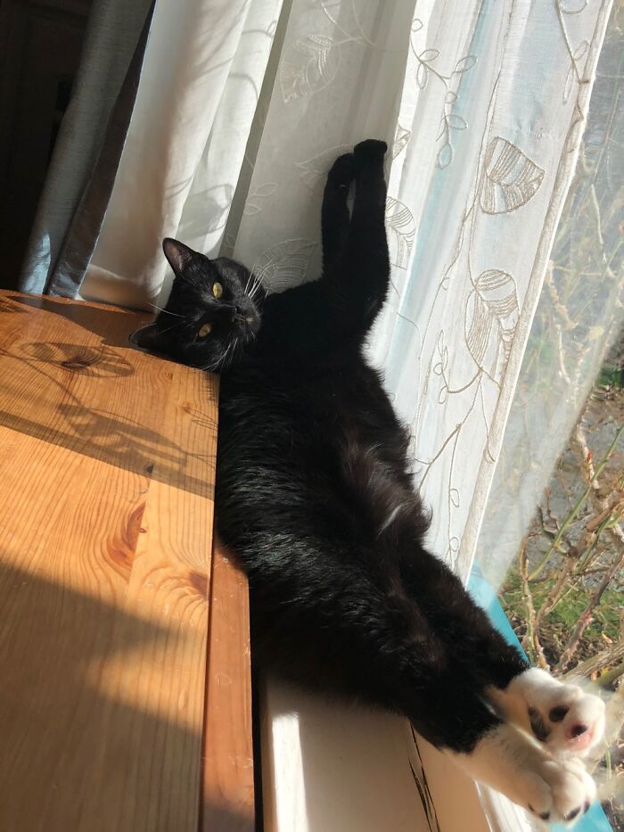 Alice Basking In The Sun