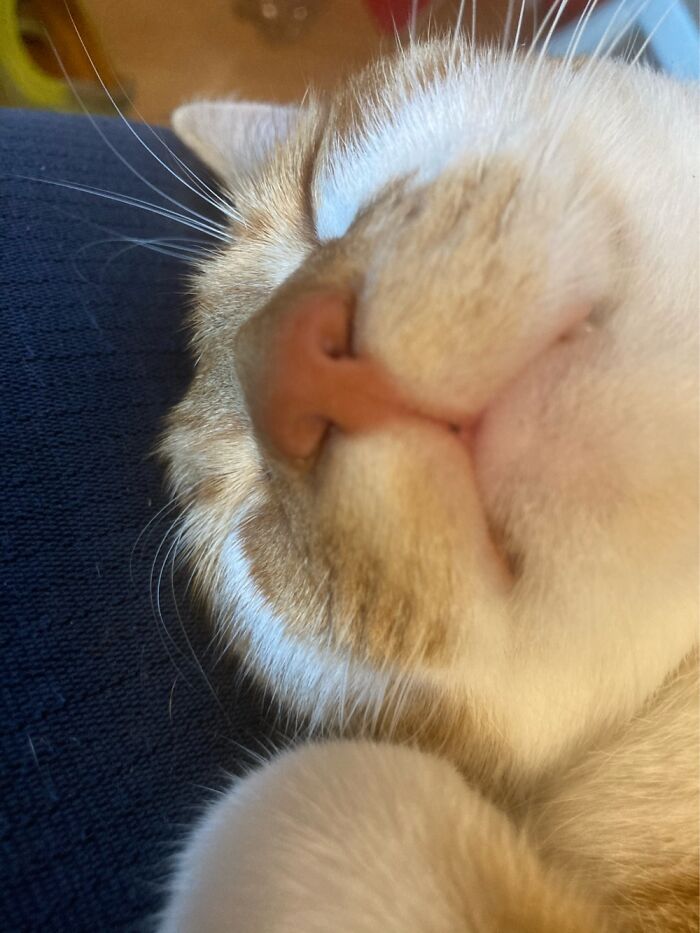 Kato In Seventh Heaven