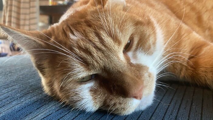 A Little Bit Disturbed Because Grandma Keeps Asking For New Pictures