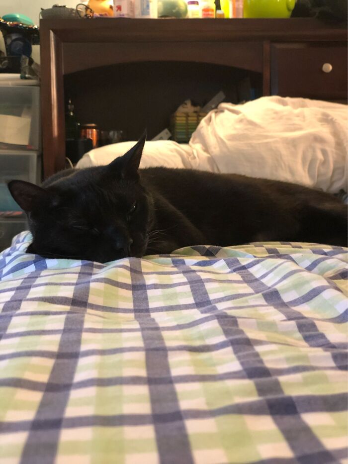 My Girl, Carisele, After Waking Me Up. Mom’s Spot On The Bed Is The Best Spot