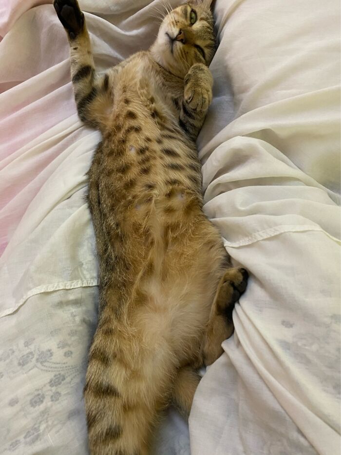 So Many Cute Pics Of My Baby This Is One Of The Cutest 🥰